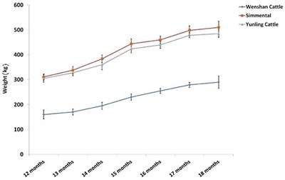 Longissimus Dorsi Muscle Transcriptomic Analysis of Simmental and Chinese Native Cattle Differing in Meat Quality